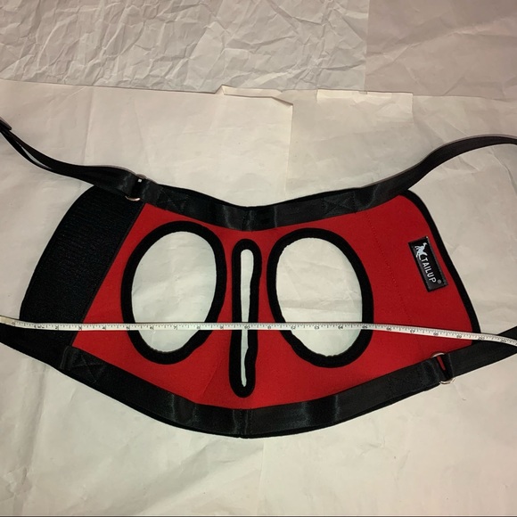 Dog rear legs harness - Picture 11 of 14